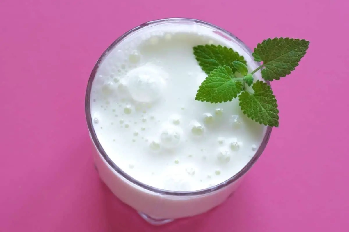 Ayran: The Refreshing and Healthy Turkish Yogurt Drink