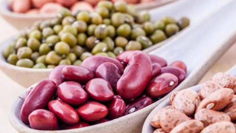 Nutritional Content and Benefits of Organic Haricot Beans